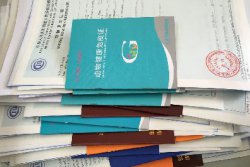 结束国外旅程我们如何将宠物托运回国