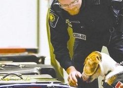 加拿大海关关于禁止与限制入境物品的相关规定