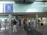结束国外旅程我们如何将宠物托运回国